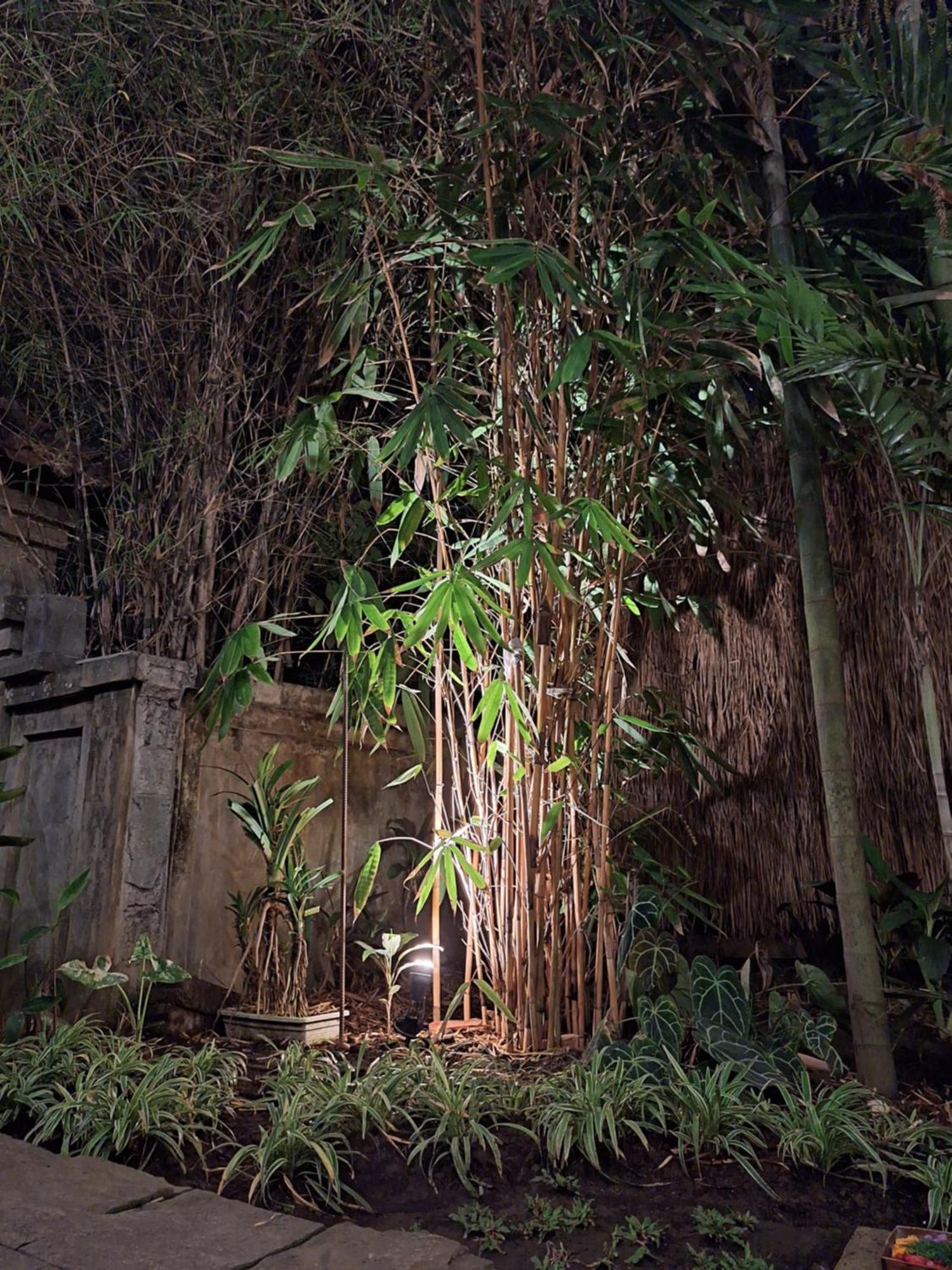 Kasapa Inn Ubud  Exterior photo